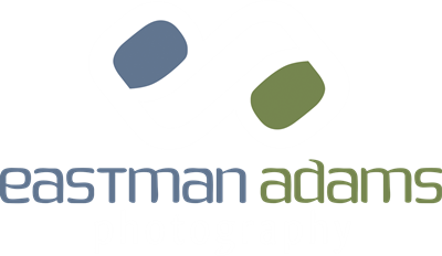 Photography Website