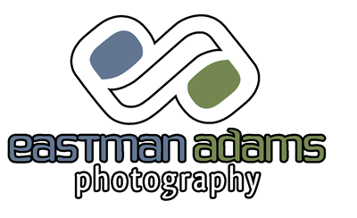 Photography Website